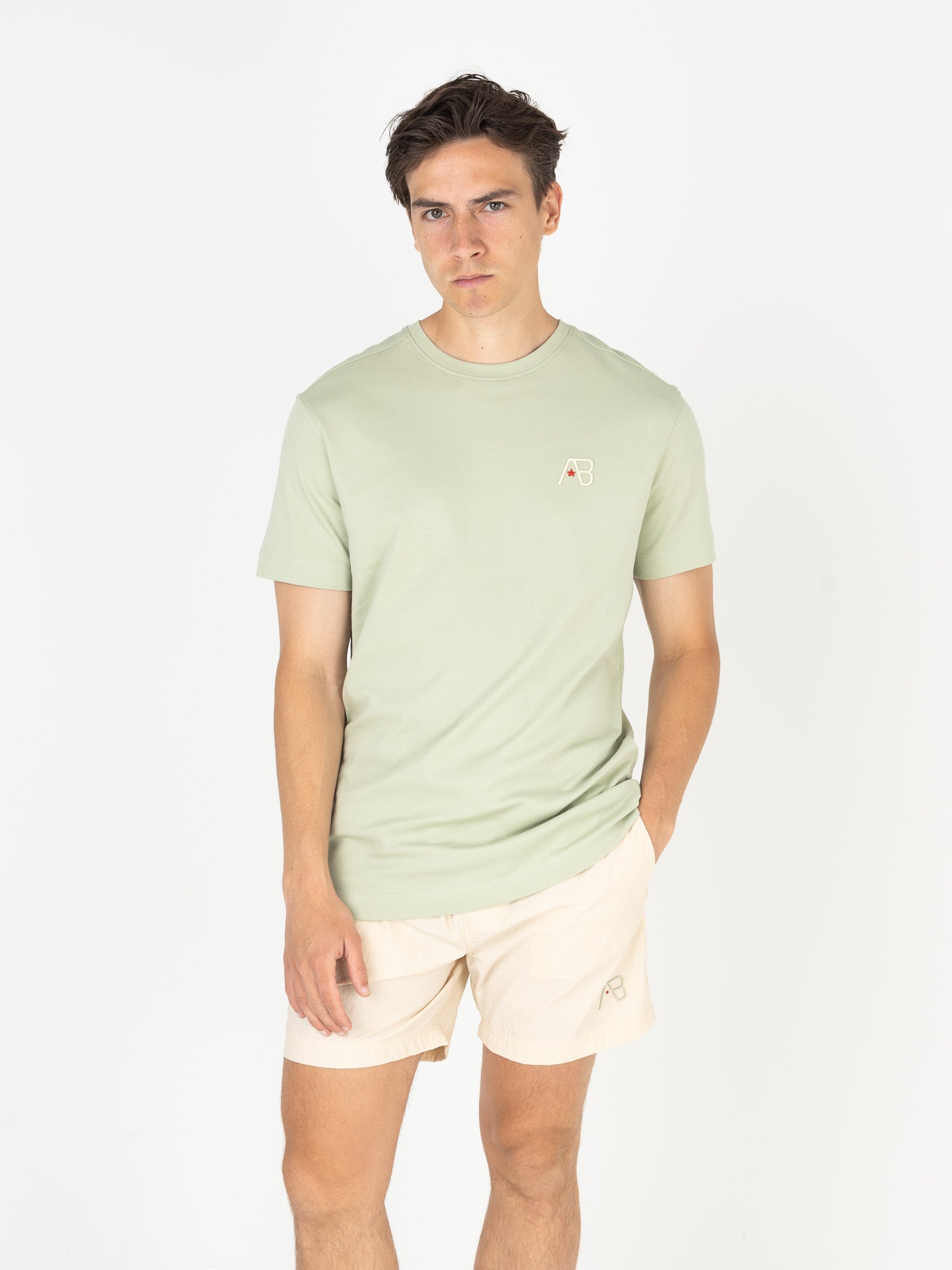Ink Tee (Ocean) | Desert Sage / Sand Dollar